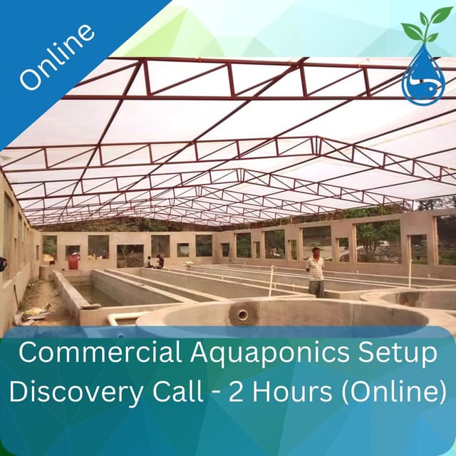 Commercial Aquaponics Setup Discovery Call - 2 Hours (Online)